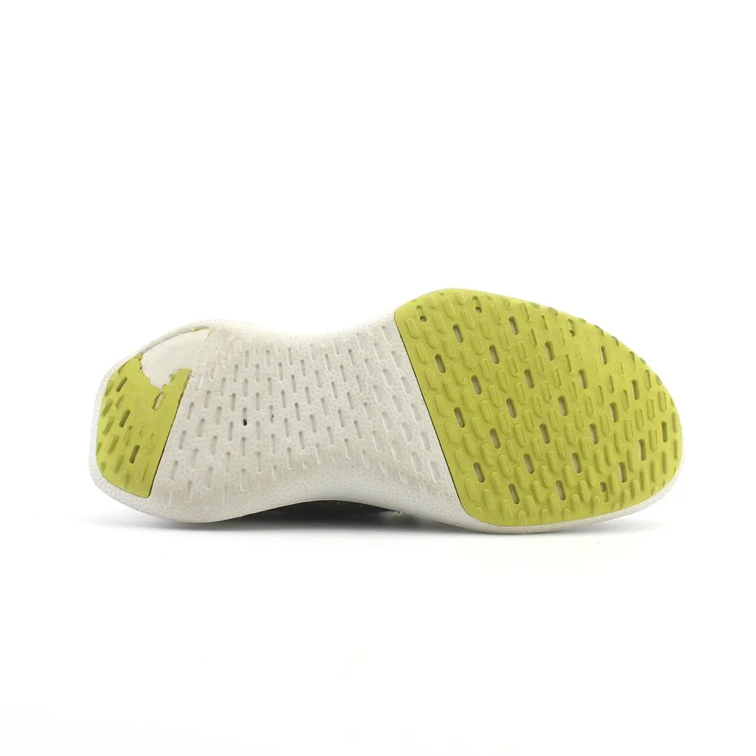 ALLBIRDS  WOOL DASHER