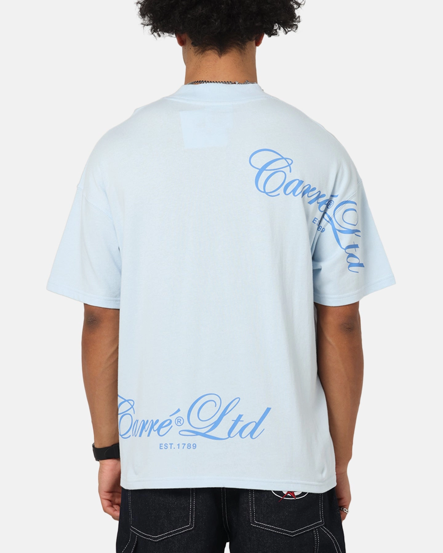 Carre Side Script Oversized T-Shirt Baby Blue Animal Print