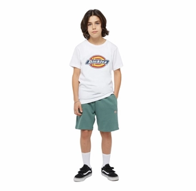 High Waist Elastic Waistband Travel Shorts Capri Dickies pantaloncino sportivo da ragazzi Mapleton DK0KRR33H151 foresta