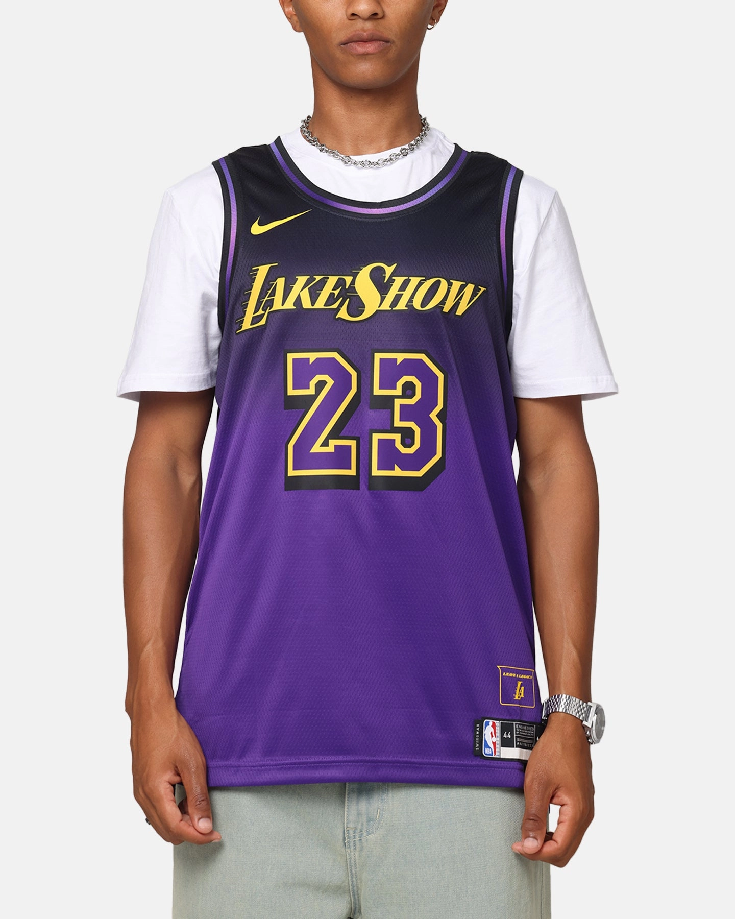 Thermoregulating Technology No Resistance Nike Lebron James Los Angeles Lakers #23 City Edition 2024/25 Nike Dri-Fit NBA Swingman Jersey Field Purple