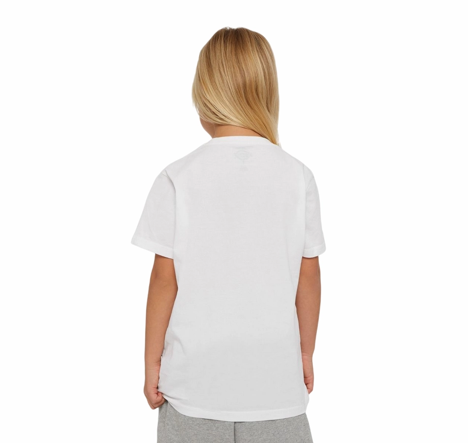 Athletic Wear Dickies maglietta manica corta da ragazzi Mapleton DK0KSR640WH1 bianco