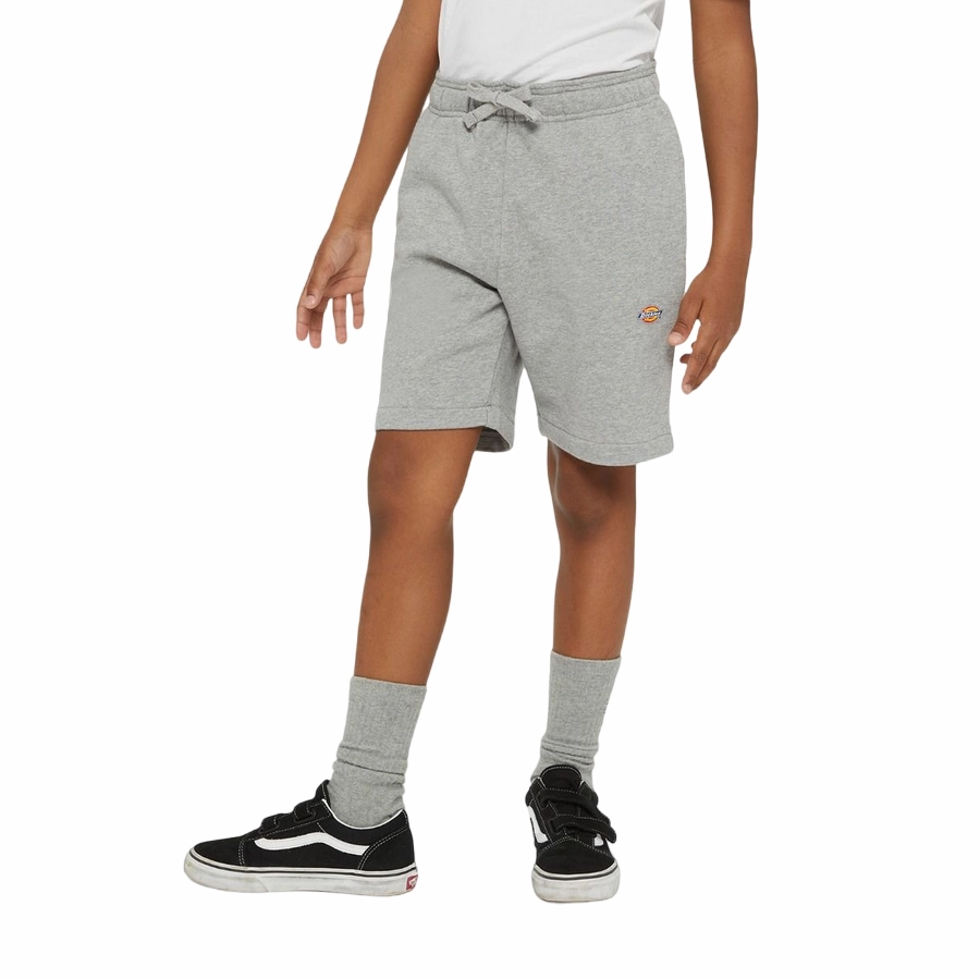 Dickies pantaloncino sportivo da ragazzi Mapleton DK0KRR330H21 grigio Vapor Weight Fabric Optimal Training Performance