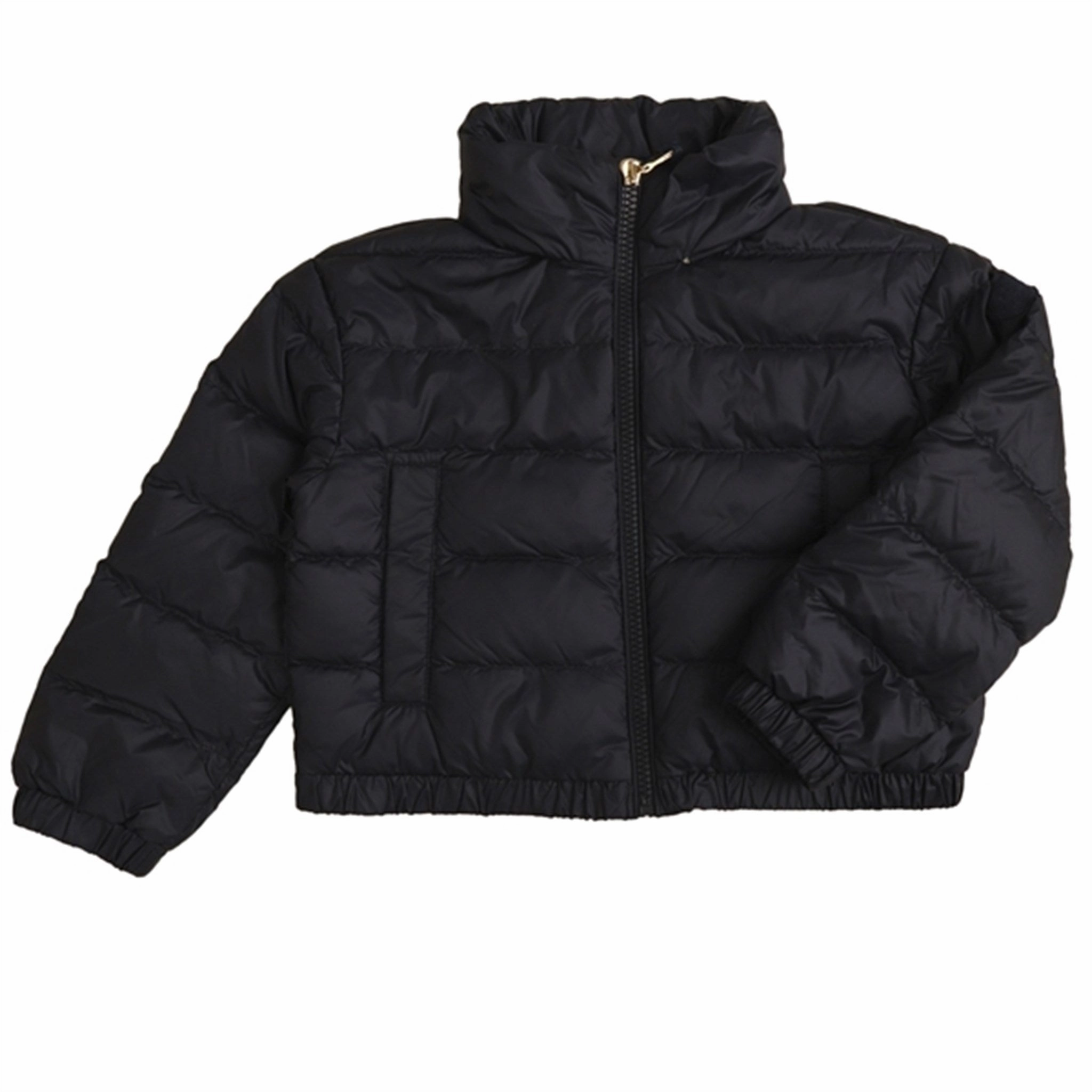 Wind Resistant Fabric Adjustable Detachable Hood Moncler Musa Down Jacket Navy