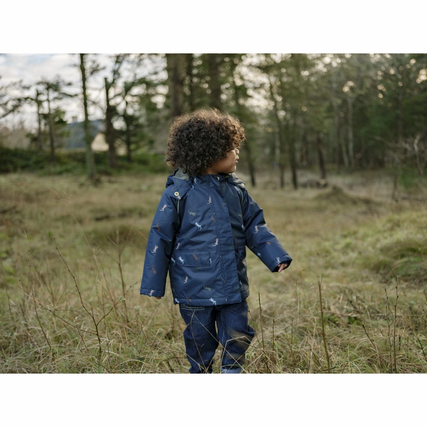 Light Reflective Hust & Claire More Navy Obi Lizards