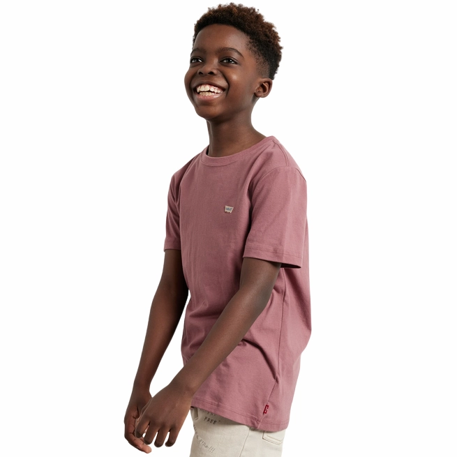 Levi's Kids maglietta manica corta da ragazzi con logo Batwing Chest 8EA100-R90 mattone casual top Plus size confidence