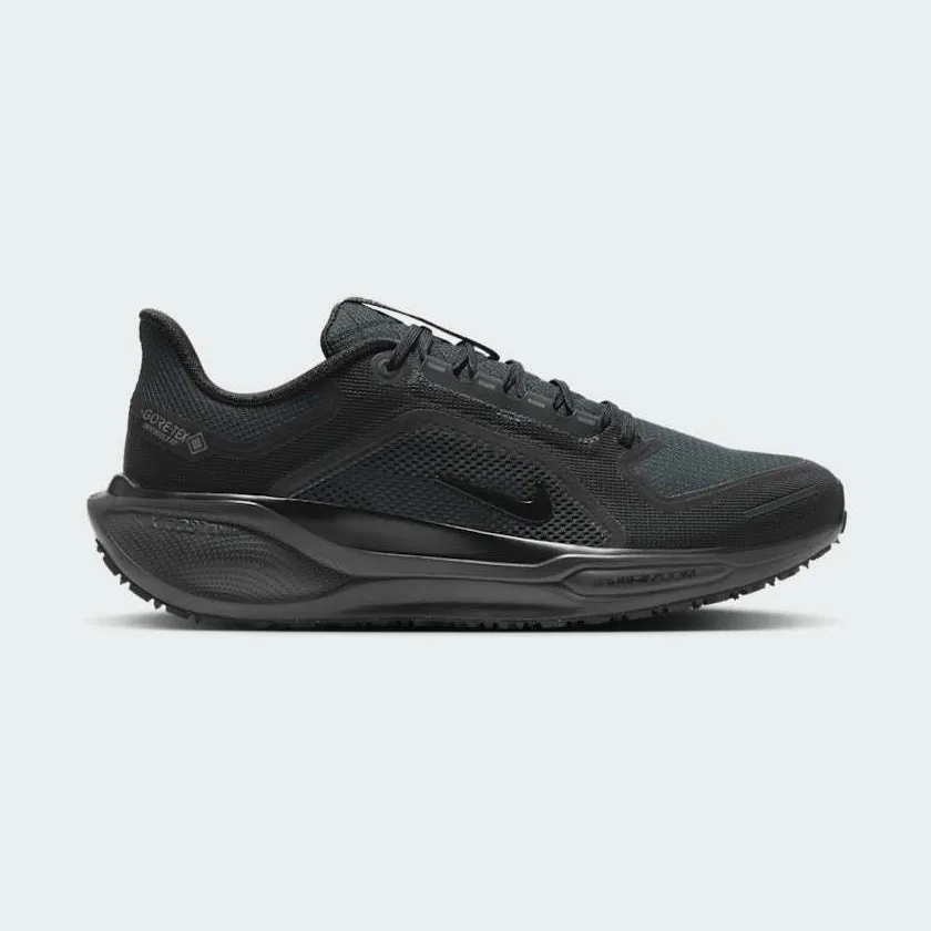 Nike Air Zoom Pegasus 41 Gore-Tex FQ1356 001 warm - up runs