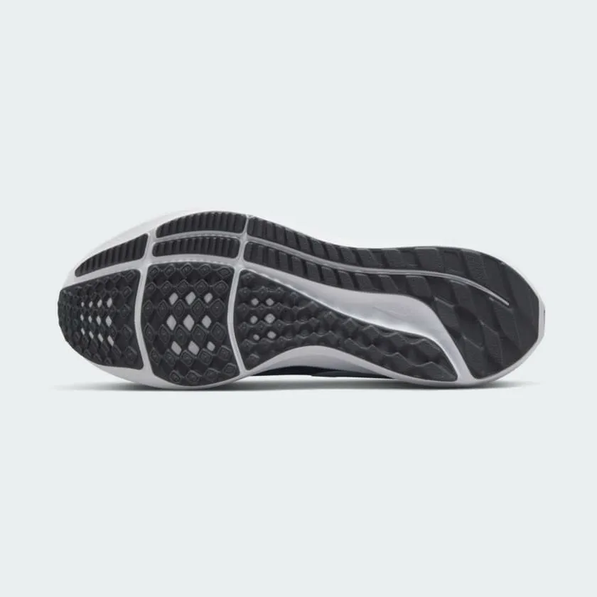 Trail Walk Nike Air Zoom Pegasus 39 Women's DH4072 001