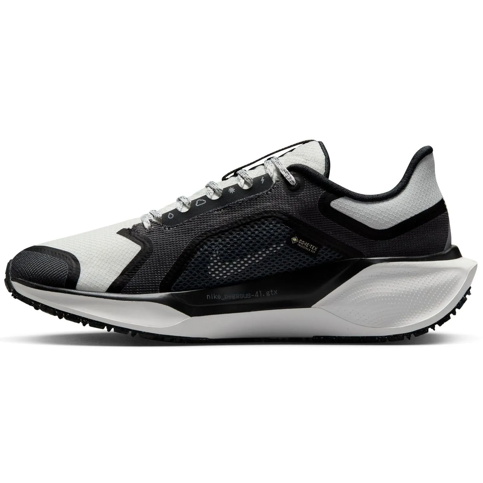 Nike Pegasus 41 GORE-TEX Womens Road Running Shoes
