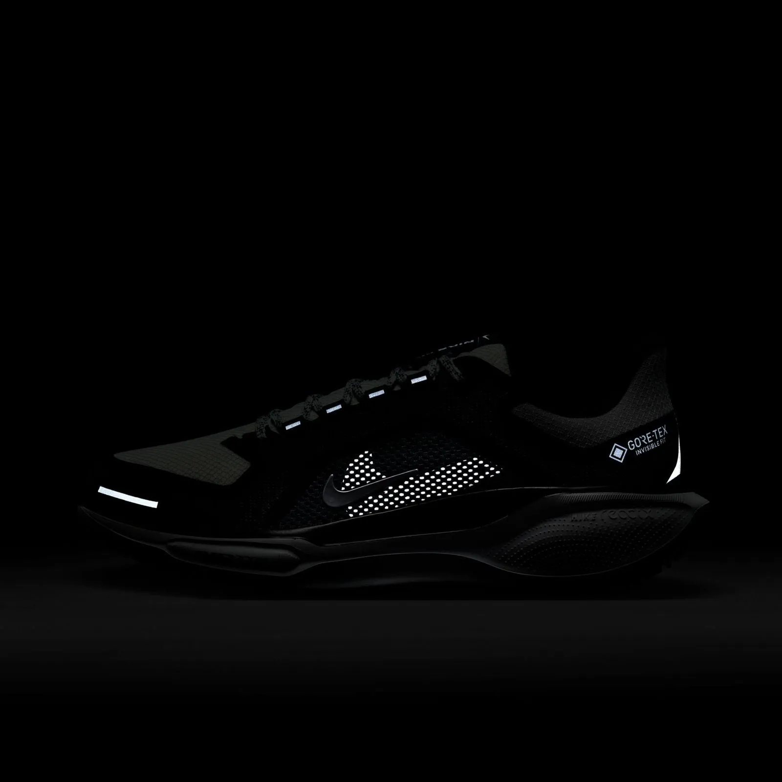 Nike Pegasus 41 GORE-TEX Womens Road Running Shoes