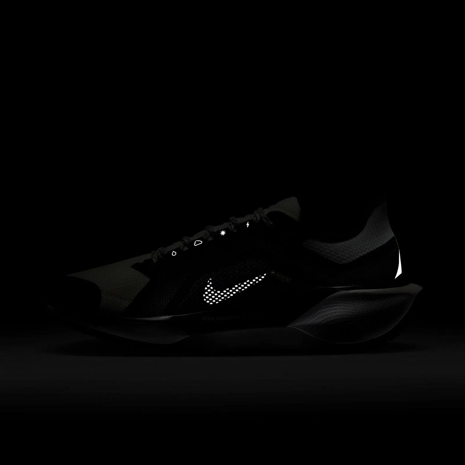 Nike Pegasus 41 GORE-TEX Womens Road Running Shoes