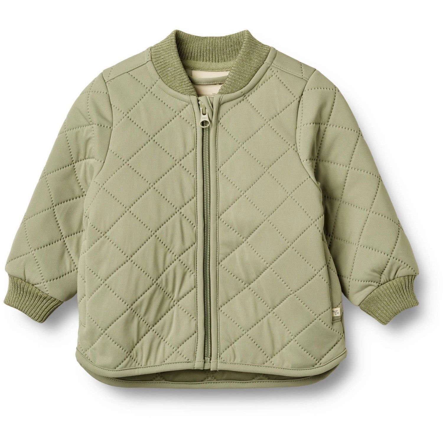 Transitional Look Wheat Green Tea Thermo Jacket Loui