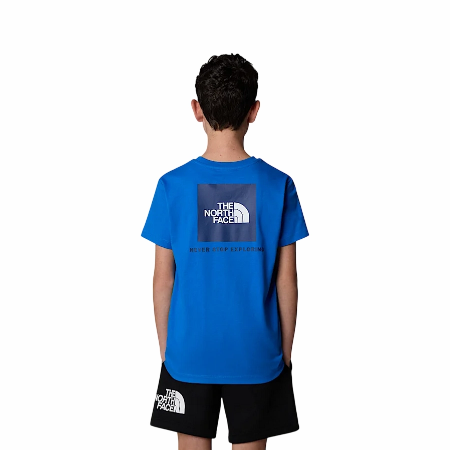 The North Face maglietta manica corta junior Box NSE NF0A89VT59J blu estate Job Interview