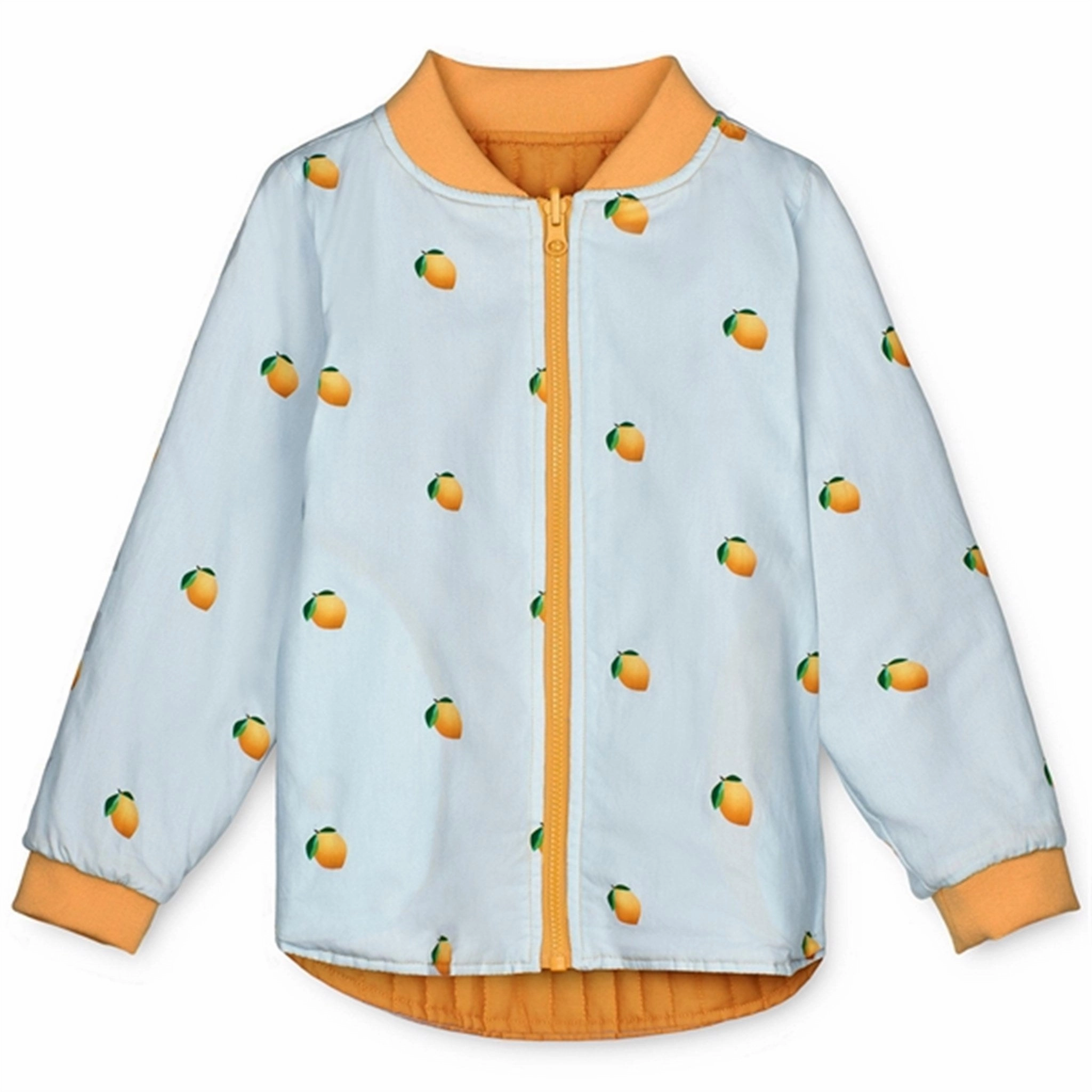 Reinforced Stress Points Fliink Ballad Blue AOP Kota Jacket