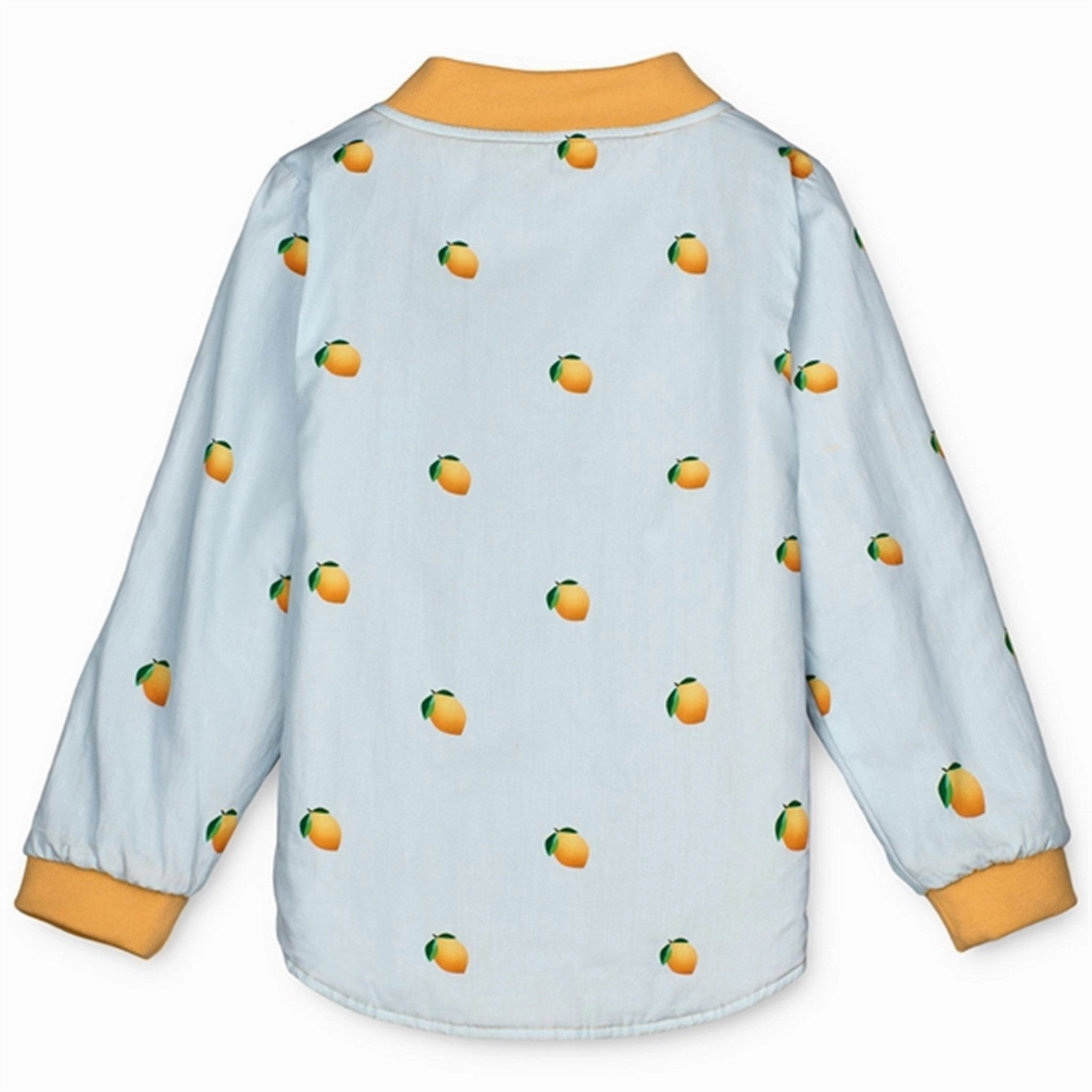 color block Tailored Silhouette Fliink Ballad Blue AOP Kota Jacket