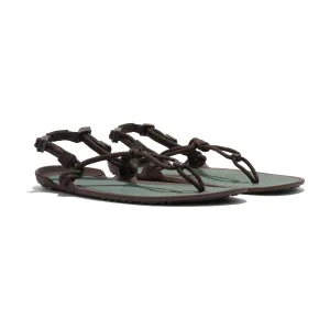 Xero Sandals - Aqua Cloud - Java Brown/Dark Forest - Men's